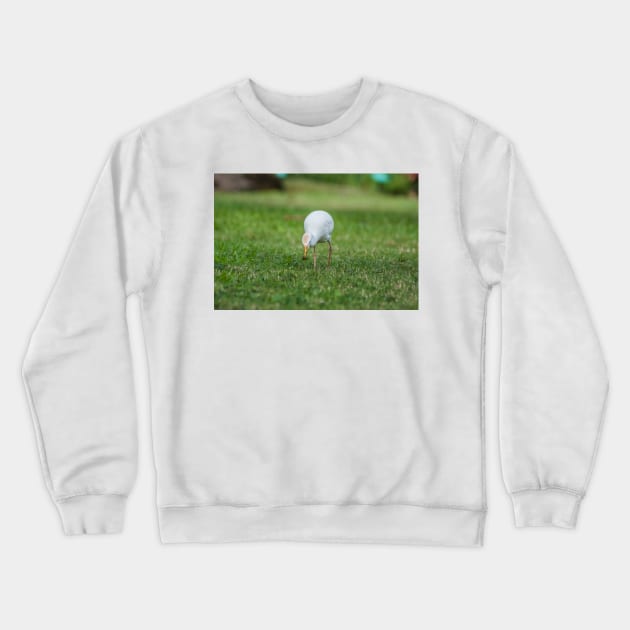 Cattle Egret Crewneck Sweatshirt by KensLensDesigns